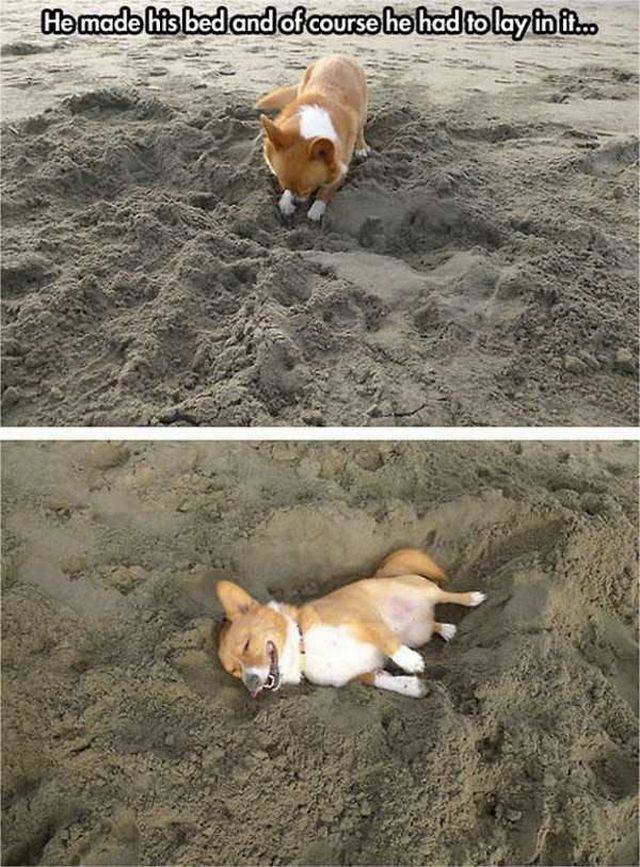 Content Image
