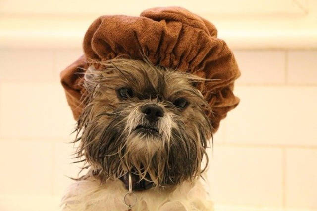 Morning Picdump
