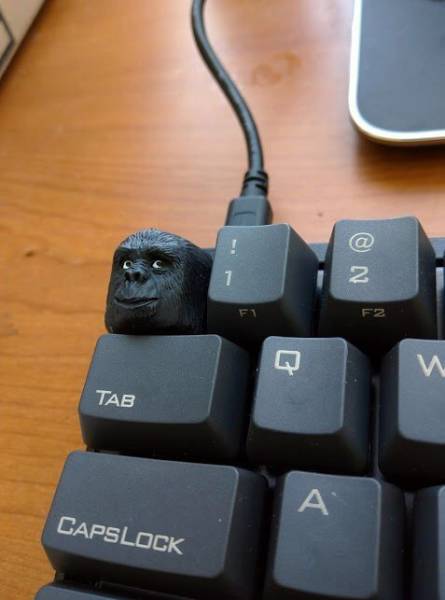 Morning Picdump