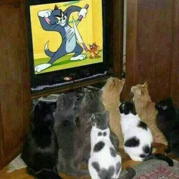Daily Picdump