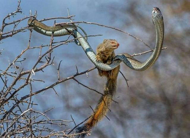 Daily Picdump