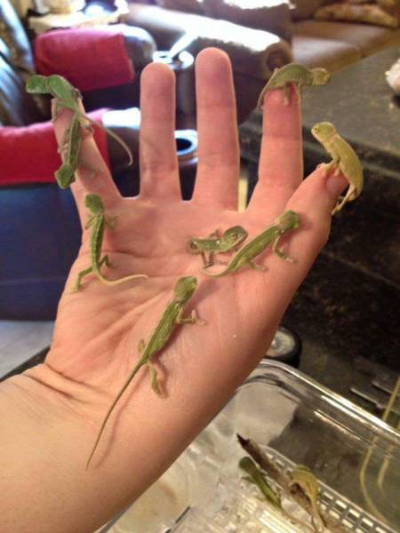 Daily Picdump