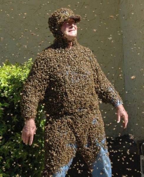Content Image