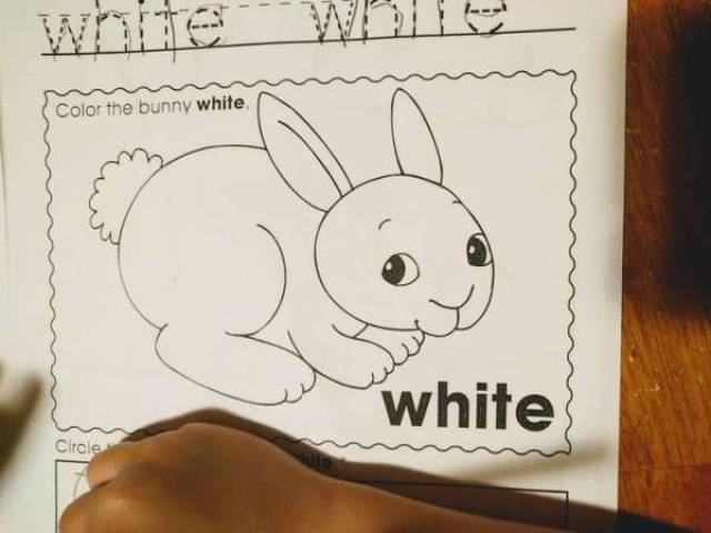 Content Image