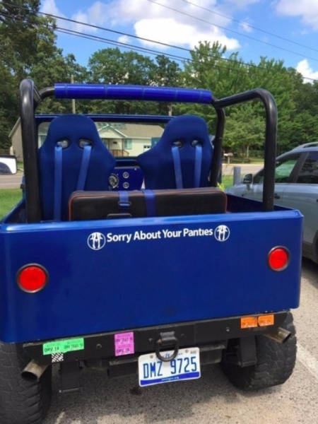 Morning Picdump