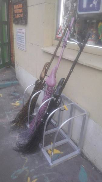 Morning Picdump