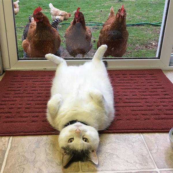 Morning Picdump
