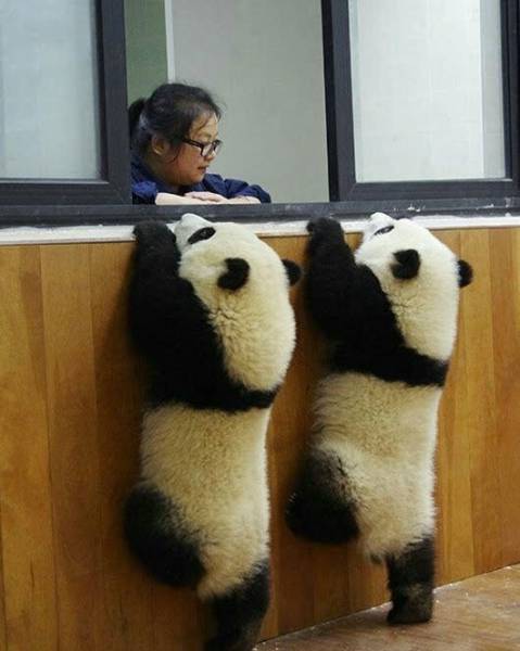 Morning Picdump