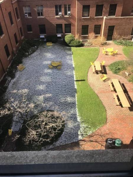 Daily Picdump [WEEKEND EDITION]