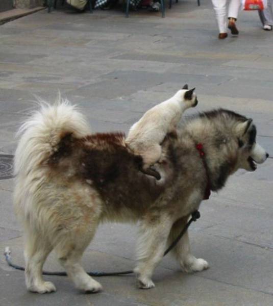 Daily Picdump
