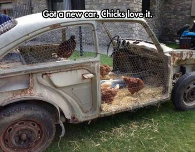 Daily Picdump
