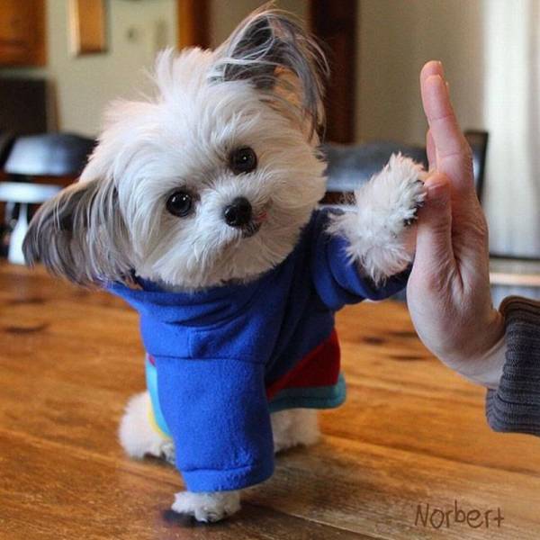 Daily Picdump