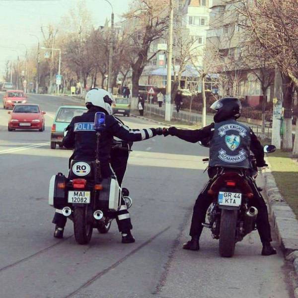 Daily Picdump
