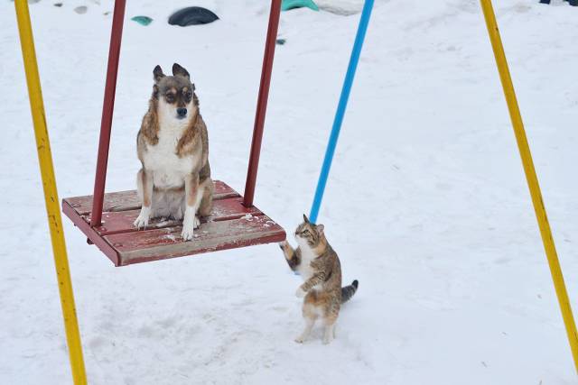 Daily Picdump