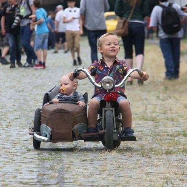 Daily Picdump