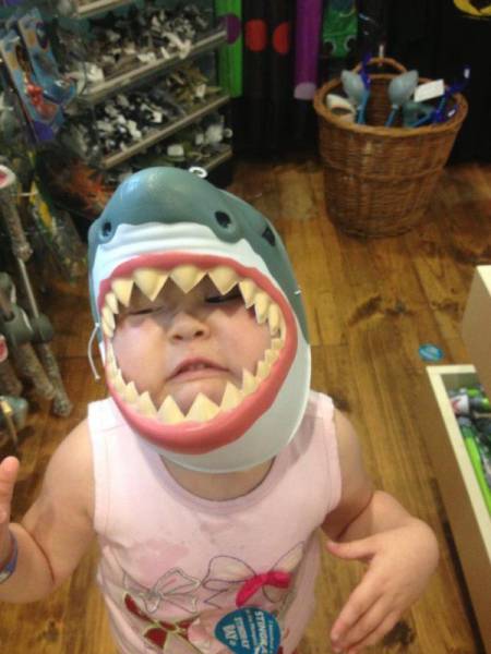 Daily Picdump