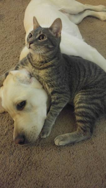 Daily Picdump