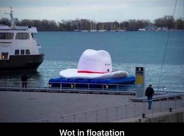 Content Image