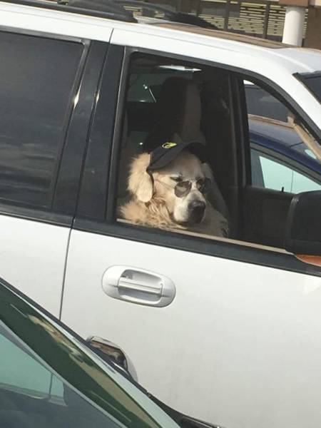 Morning Picdump