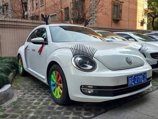 Daily Picdump