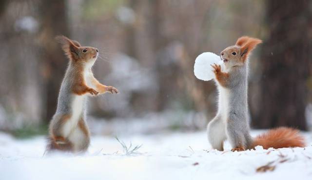 Daily Picdump
