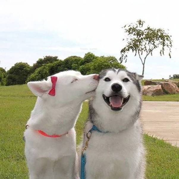 Daily Picdump
