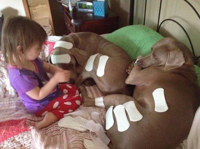 Daily Picdump
