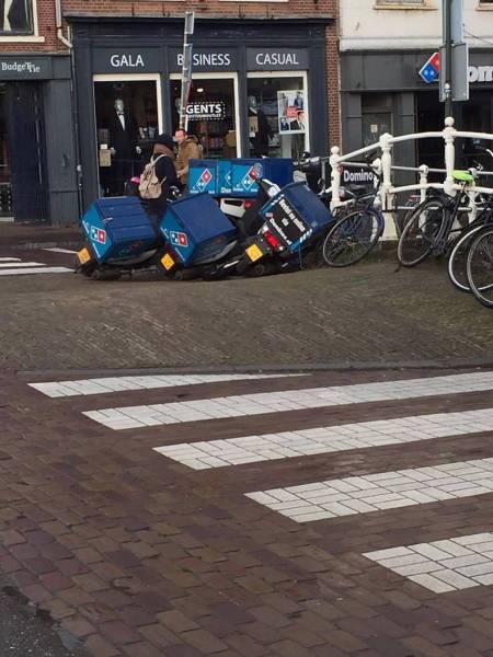 Daily Picdump