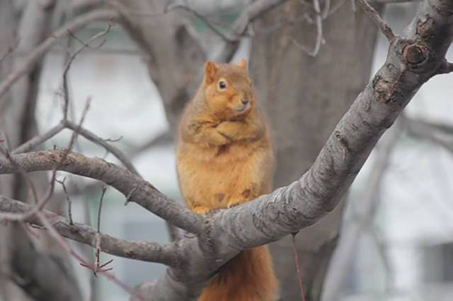Daily Picdump