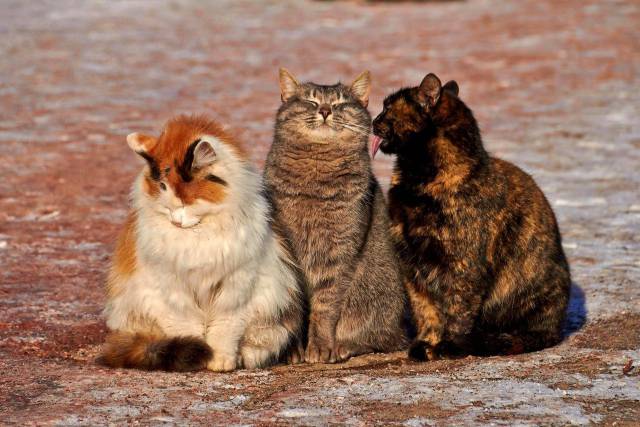 Daily Picdump