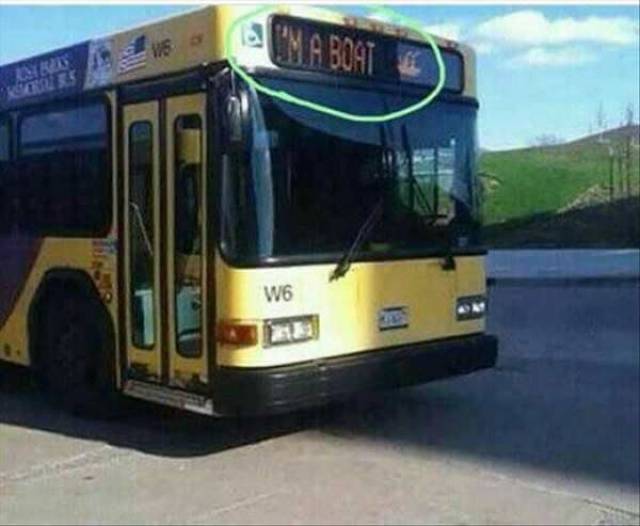 Daily Picdump