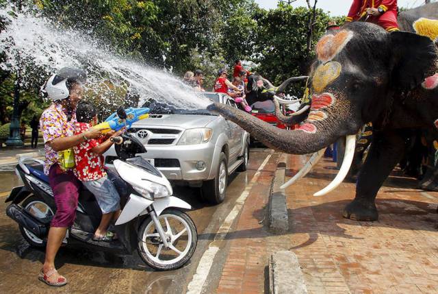 Daily Picdump