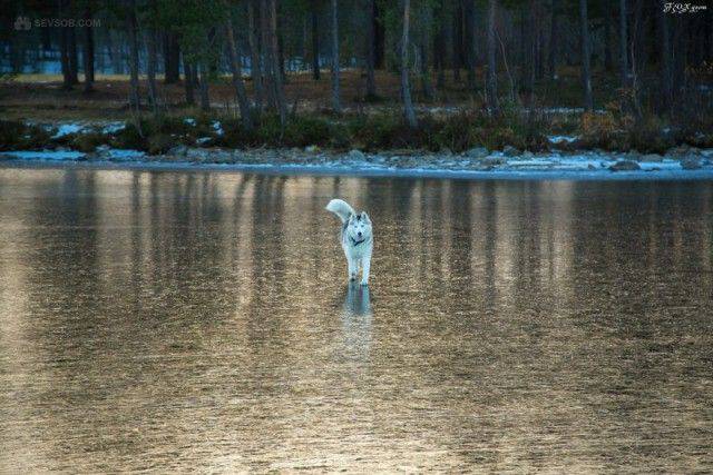 Daily Picdump