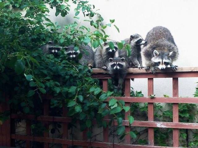 Daily Picdump
