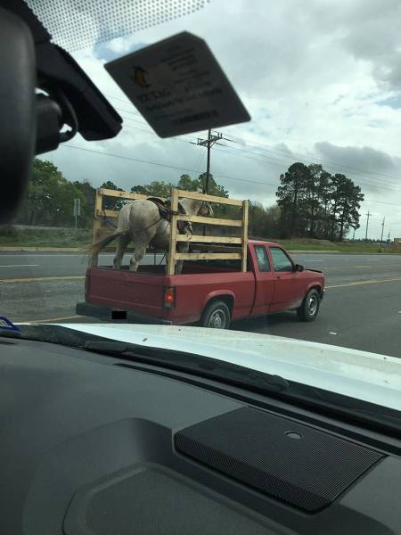 Daily Picdump