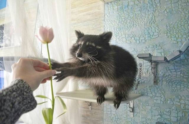 Morning Picdump