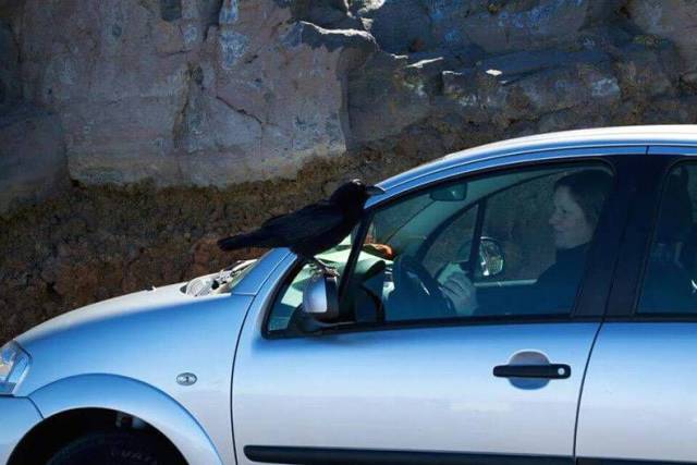 Daily Picdump