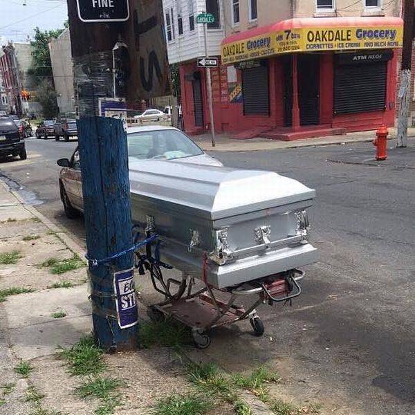 Content Image