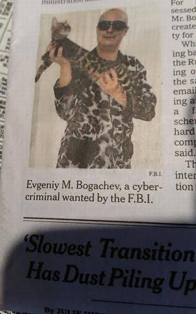 Content Image