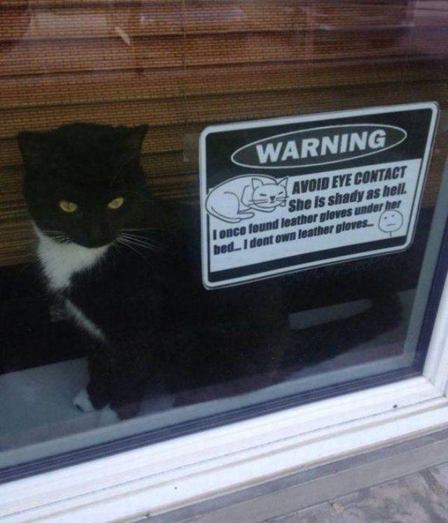 Daily Picdump [WEEKEND EDITION]