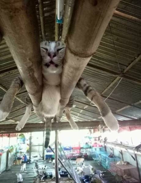 Daily Picdump