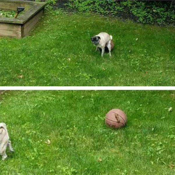 Content Image