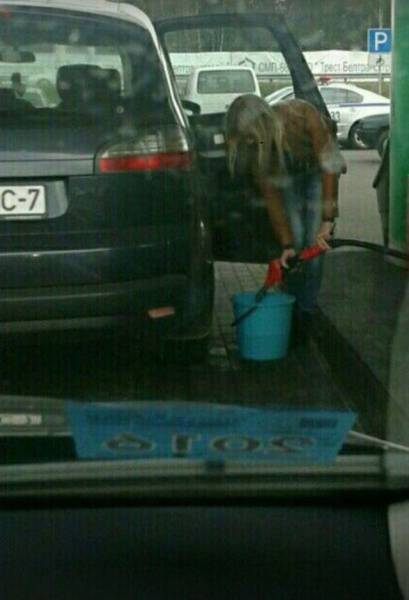 Daily Picdump