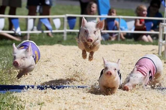 Daily Picdump