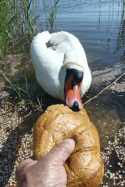 Daily Picdump