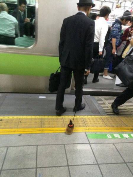 Daily Picdump