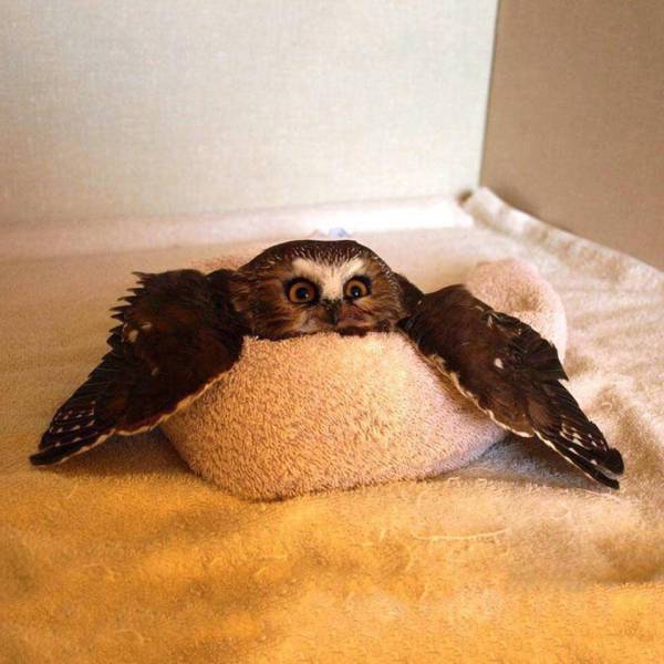 Morning Picdump