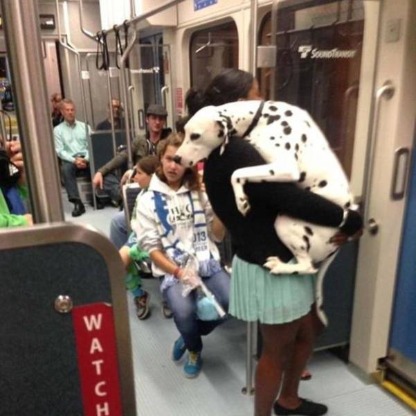 Morning Picdump
