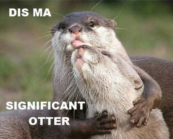 Funny Picdump