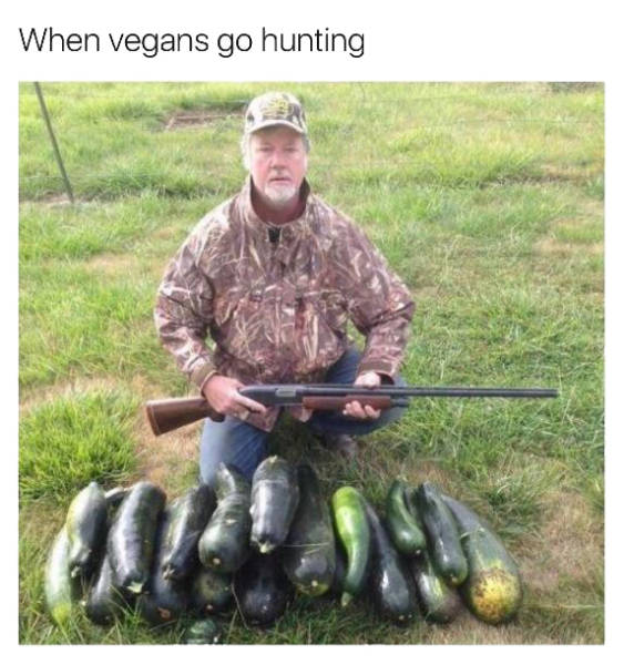 Funny Picdump